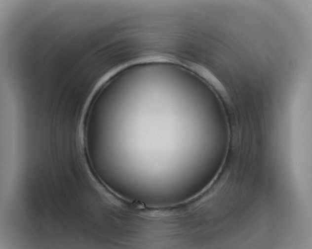 X0000113531380200910021321