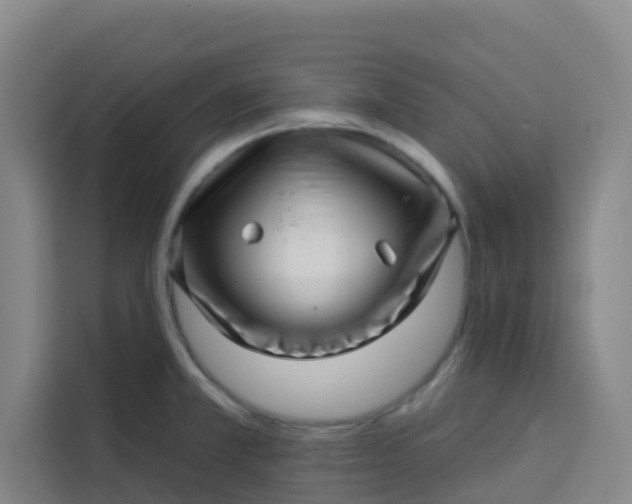 X0000113531381200910021321