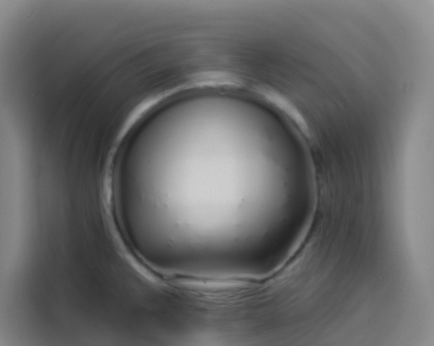 X0000113531383200910021321