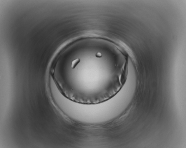 X0000113531384200910021321