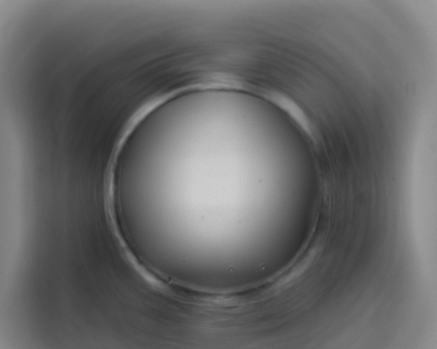 X0000113531387200910021321