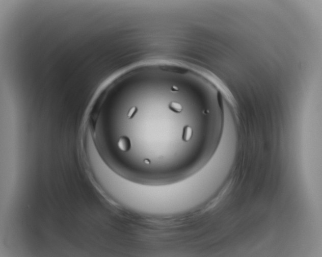 X0000113531388200910021321