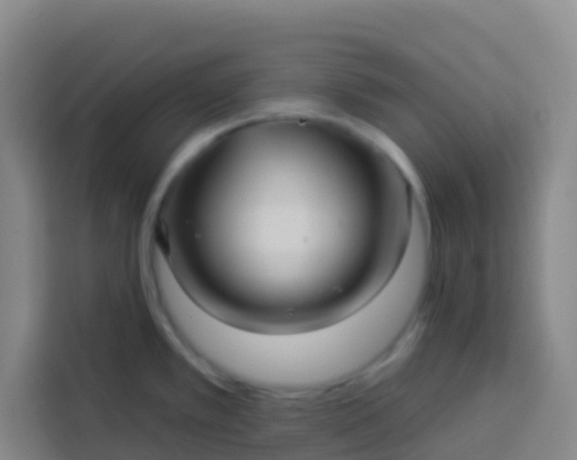 X0000113531389200910021321