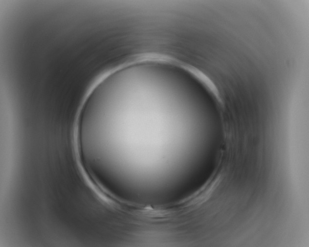 X0000113531391200910021321