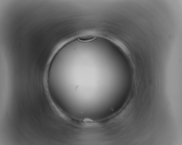 X0000113531392200910021321