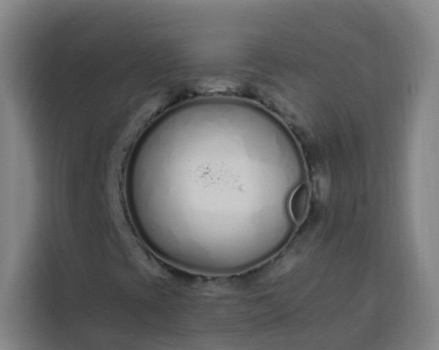 X0000113531393200910021320