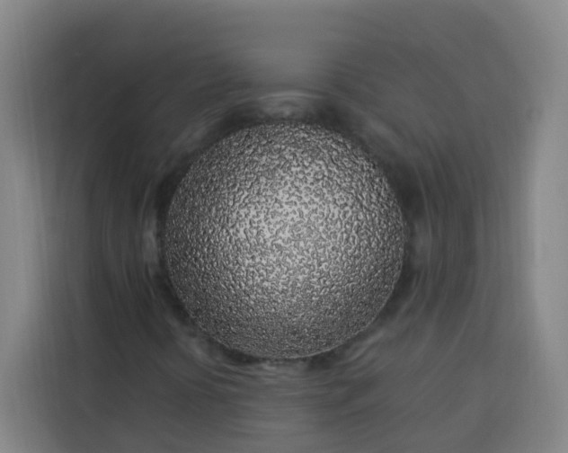 X0000113531394200910021320