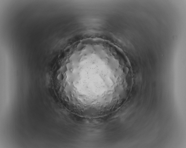 X0000113531397200910021320