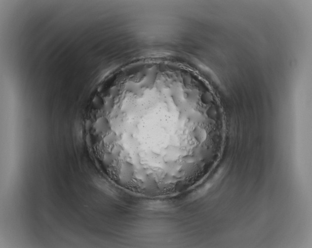 X0000113531401200910021320