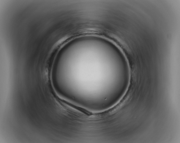 X0000113531402200910021320