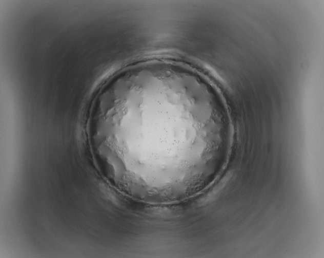 X0000113531405200910021320