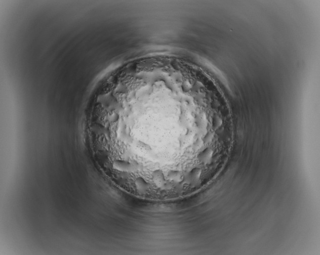 X0000113531411200910021320