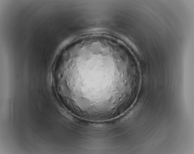 X0000113531413200910021320