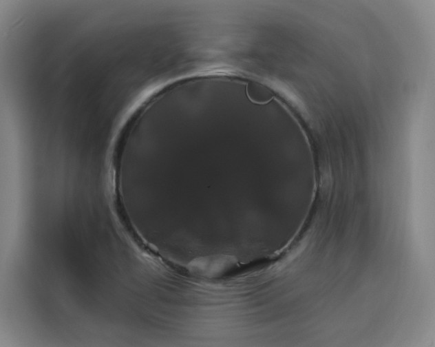 X0000113531414200910021320