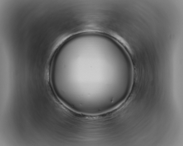 X0000113531415200910021320