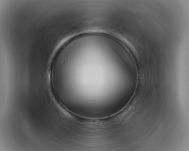 X0000113531416200910021320