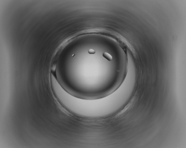 X0000113531417200910021320