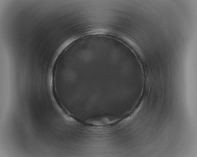 X0000113531418200910021320