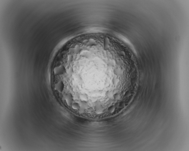 X0000113531419200910021320