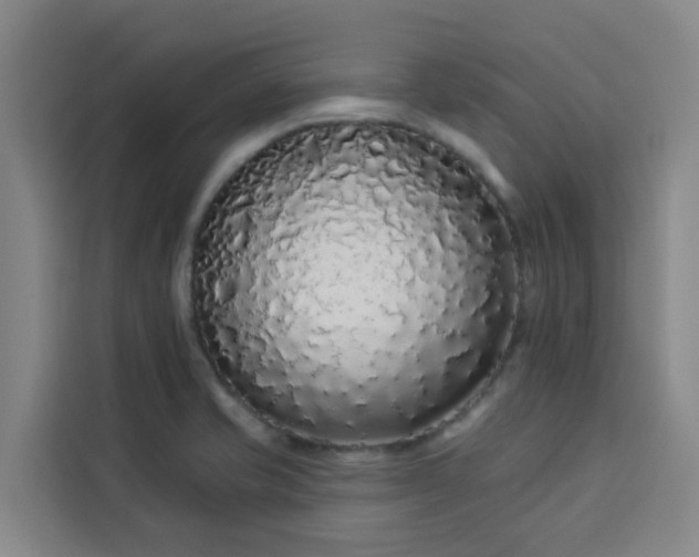 X0000113531421200910021320