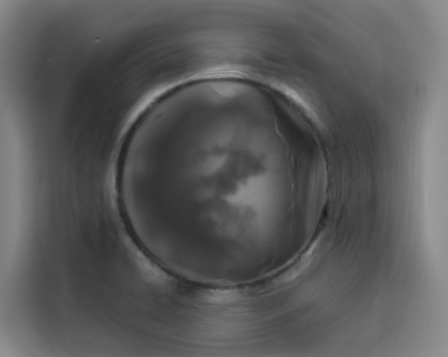 X0000113531422200910021320