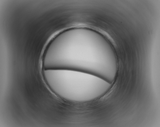 X0000113531424200910021320