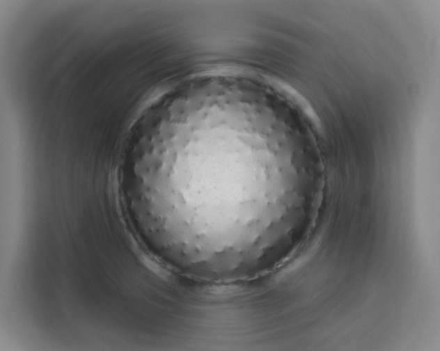 X0000113531425200910021320