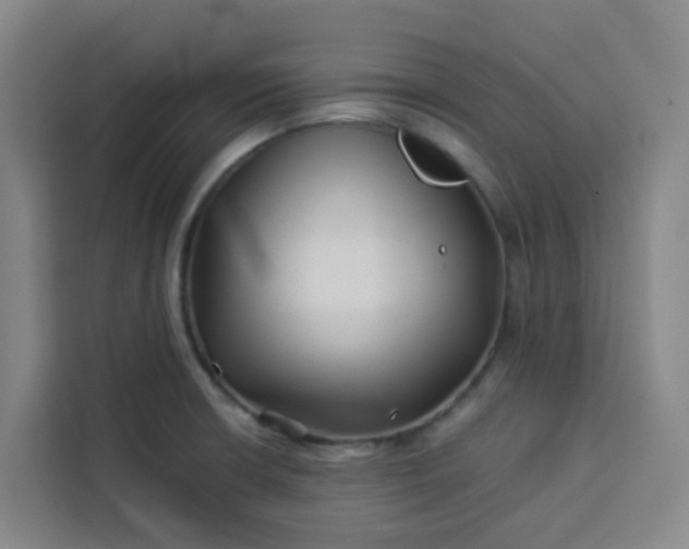 X0000113531426200910021320