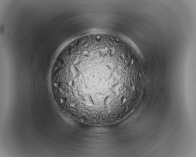 X0000113531427200910021320