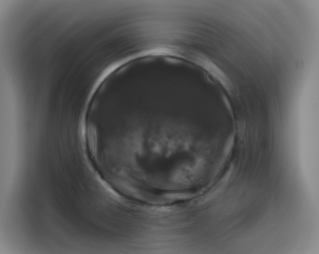 X0000113531428200910021320