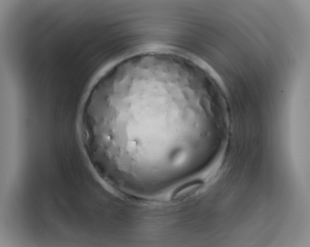 X0000113531429200910021320