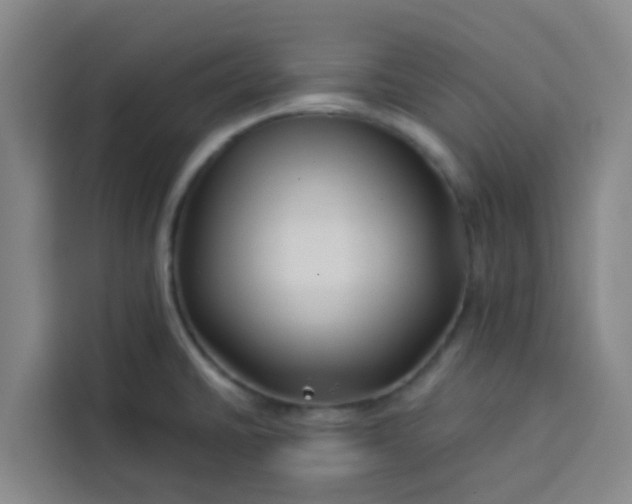 X0000113531430200910021320