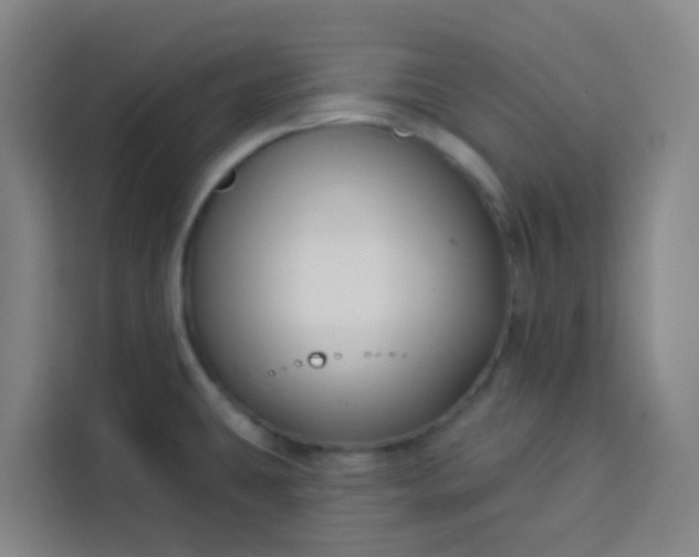 X0000113531431200910021320