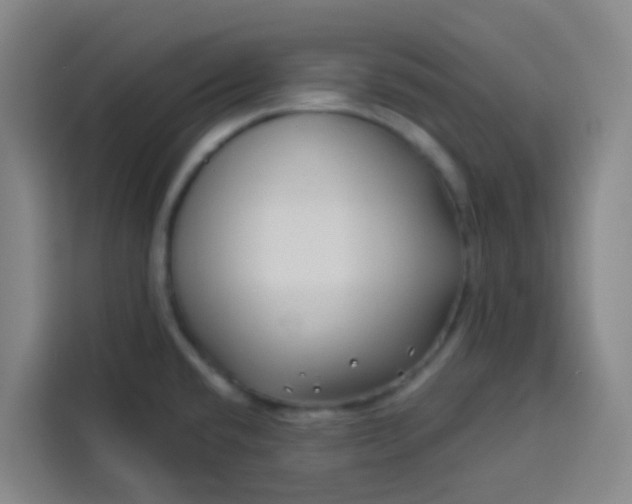 X0000113531432200910021320