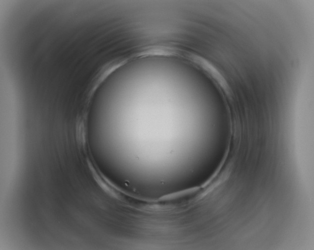 X0000113531433200910021320