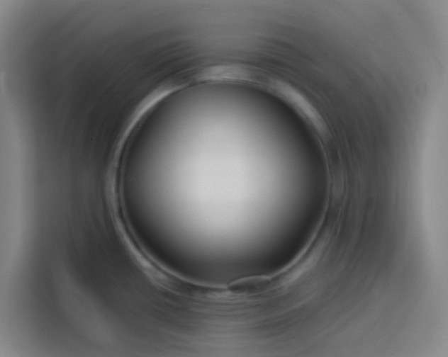 X0000113531434200910021320