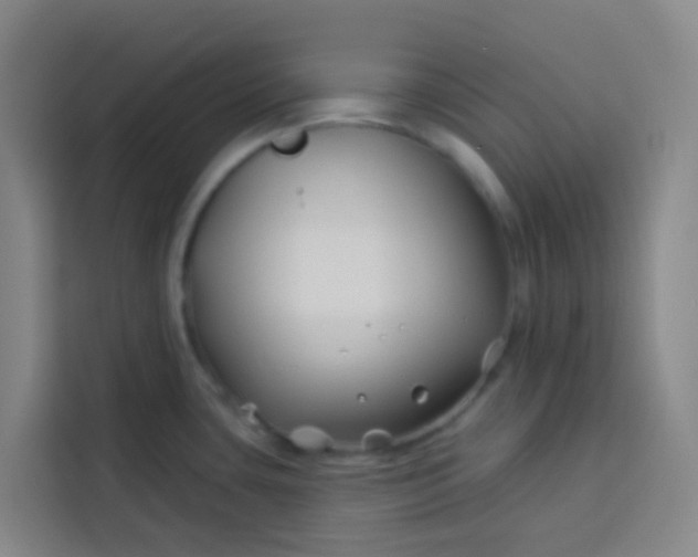 X0000113531435200910021320