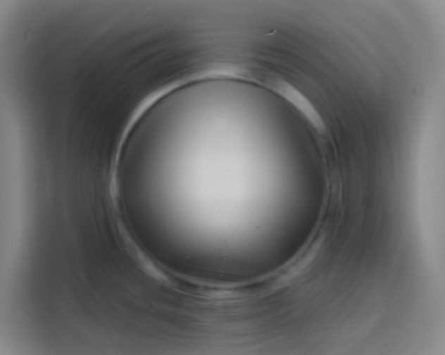 X0000113531436200910021321