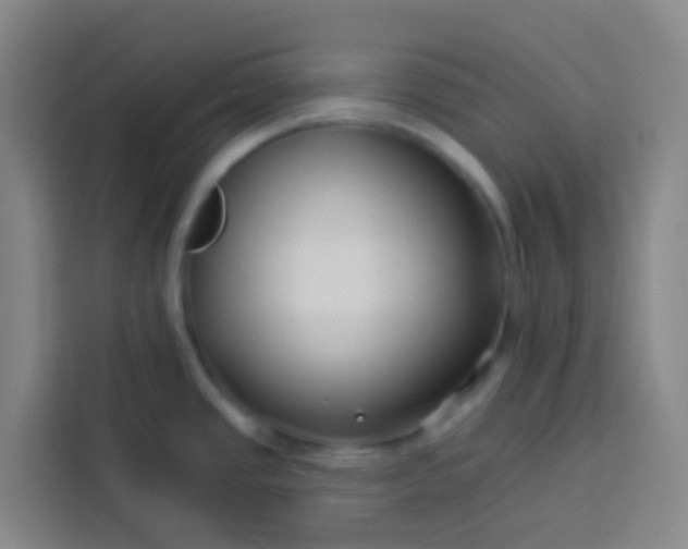 X0000113531437200910021321