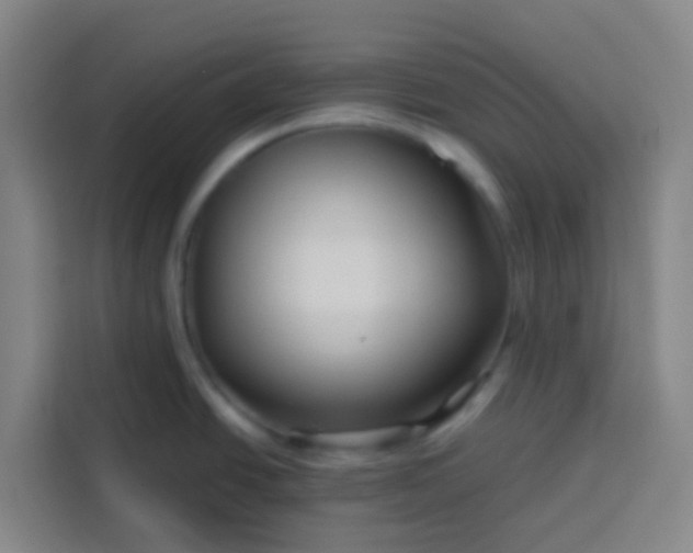 X0000113531438200910021321