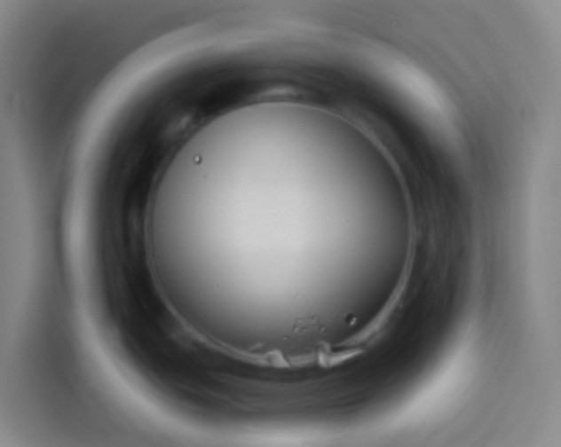 X0000113531439200910021321