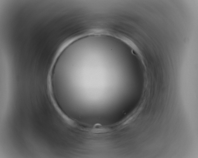 X0000113531440200910021321