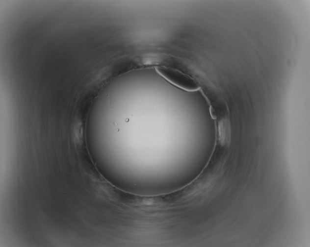 X0000113531443200910021320