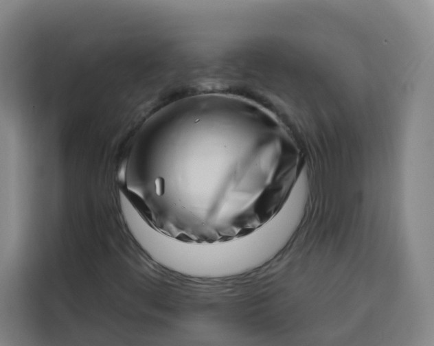 X0000113531444200910021320