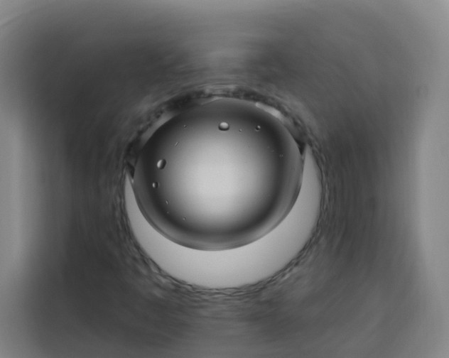 X0000113531445200910021320