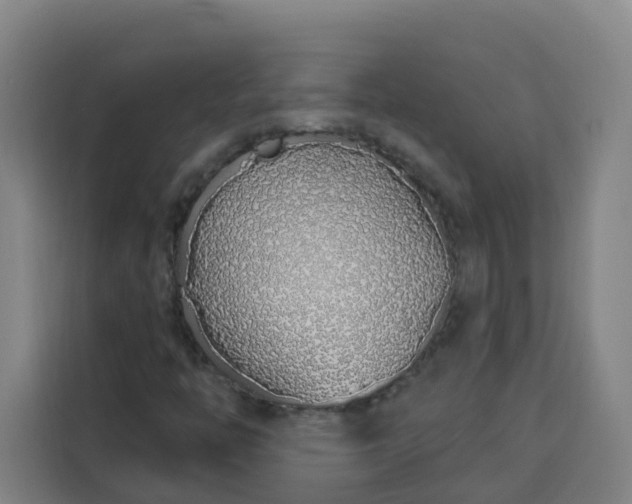 X0000113531446200910021320