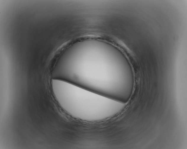 X0000113531448200910021320