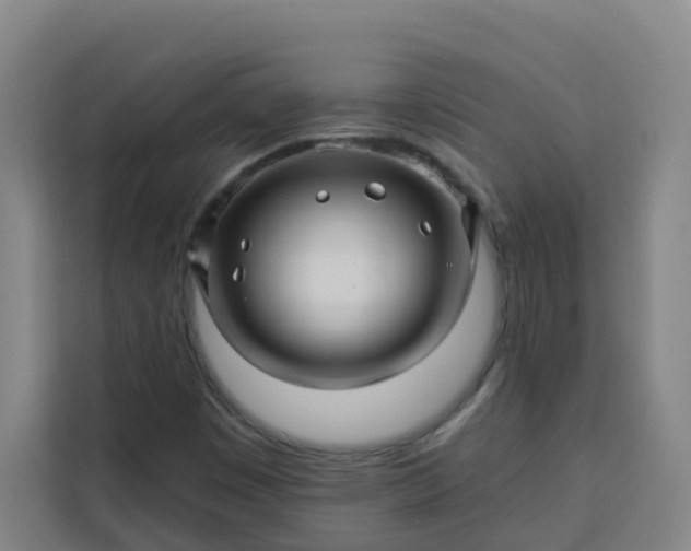 X0000113531449200910021320