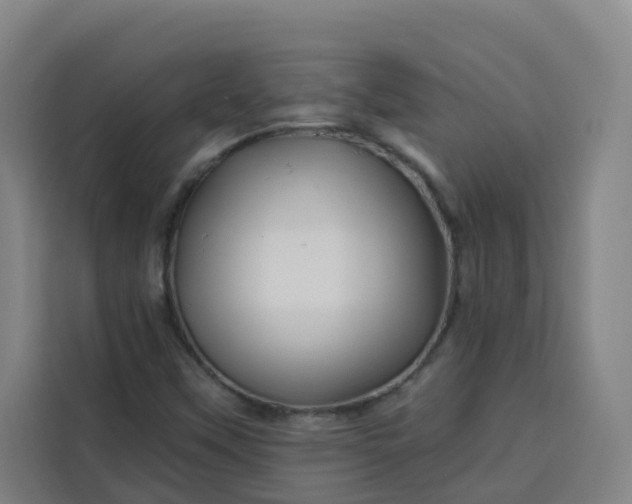 X0000113531451200910021320