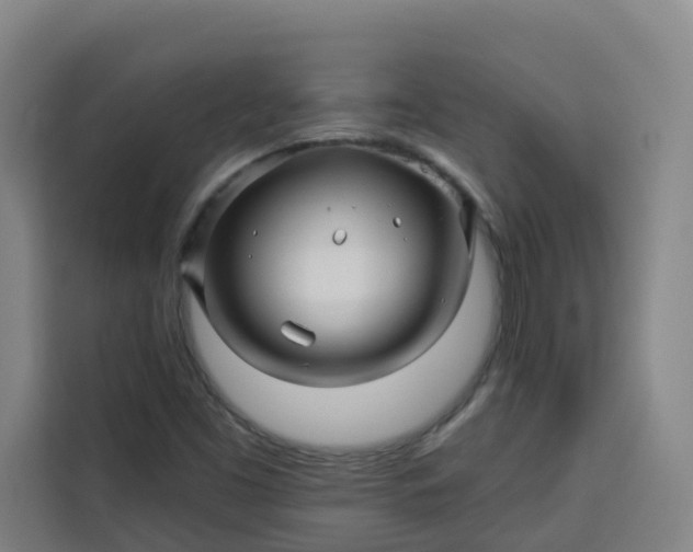 X0000113531453200910021320